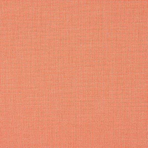 Balance 54" Bliss Guava