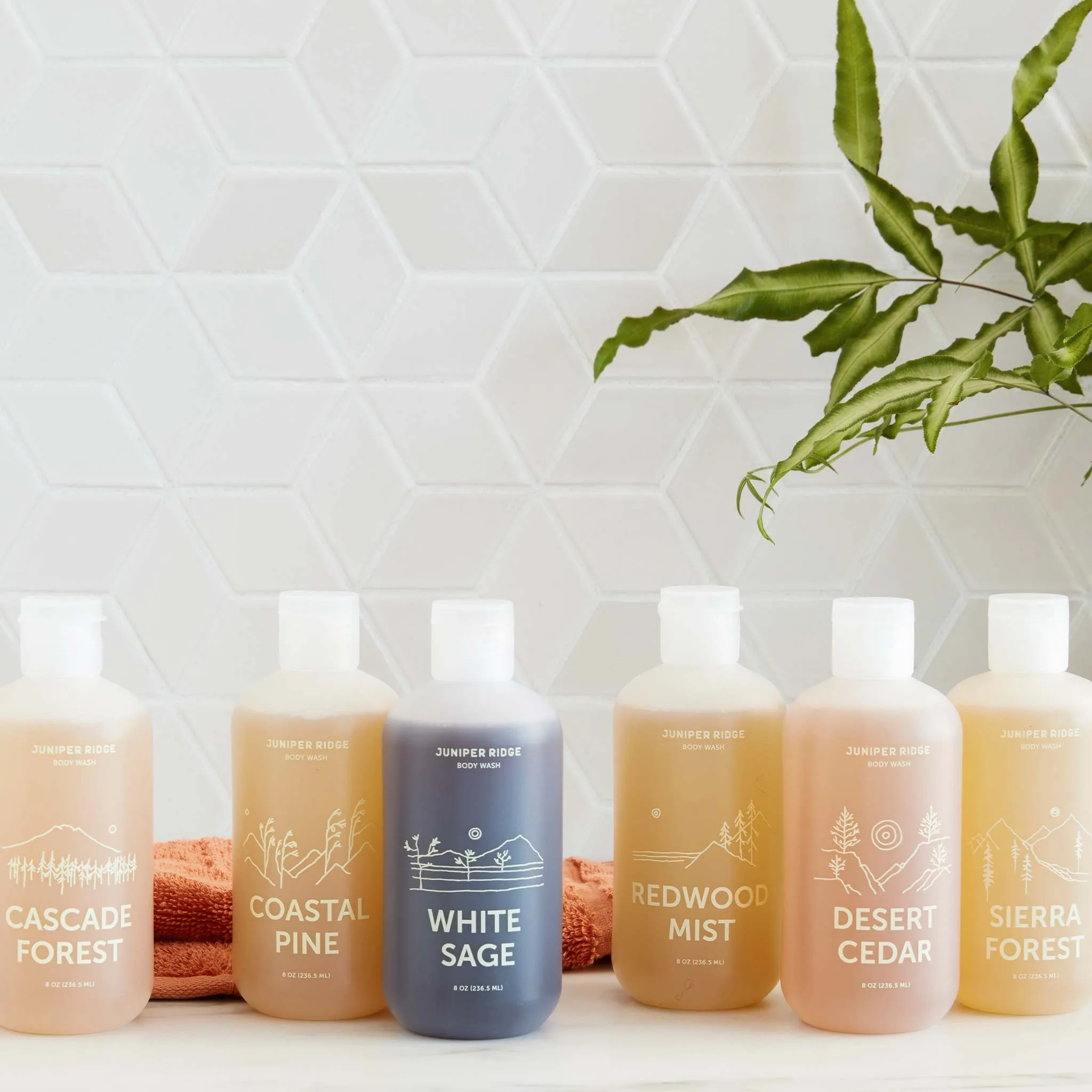 Juniper Ridge Coastal Pine Body Wash