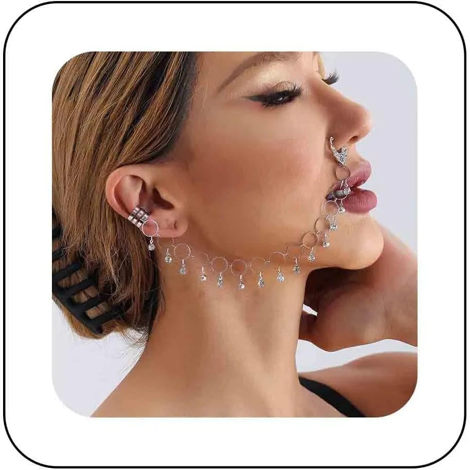 Punk Nose Ring Chain Crystal Tassel Chain Nose Ring Silver Tassel Dangle Nose Ring Hoop Fake Nose to Ear Chain with Earrings Indian Jewelry for Women